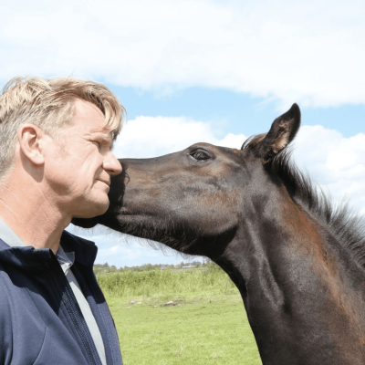 49c86c66663e4b07c2fff7244254ee7f