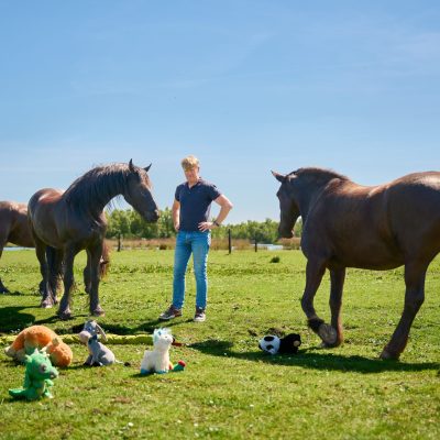 Jan de Vries - 09