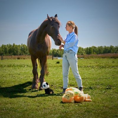 magie-van-paardentherapie magie-van-paardentherapie
