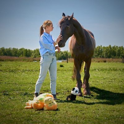 magie-van-paardentherapie magie-van-paardentherapie